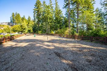 A gravel area surrounded by trees and a fence.